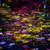 花の床