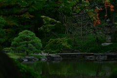 石橋