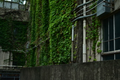 誰かの学び場
