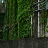 誰かの学び場