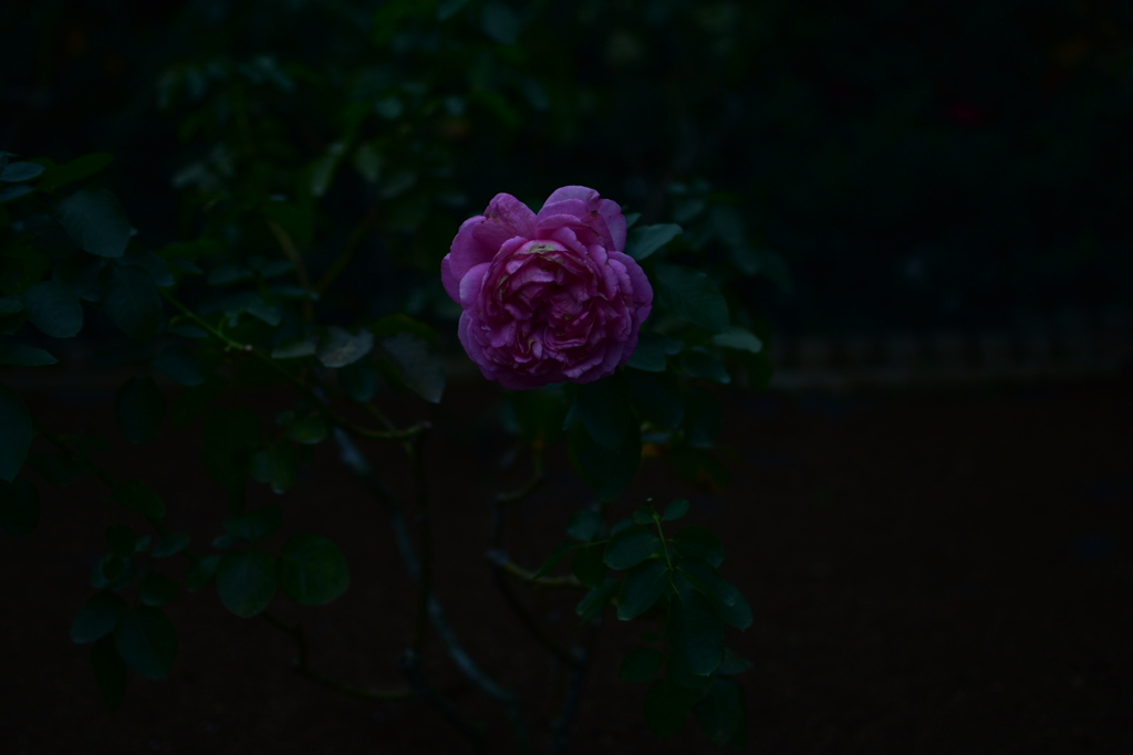 逢魔時