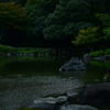 池の波