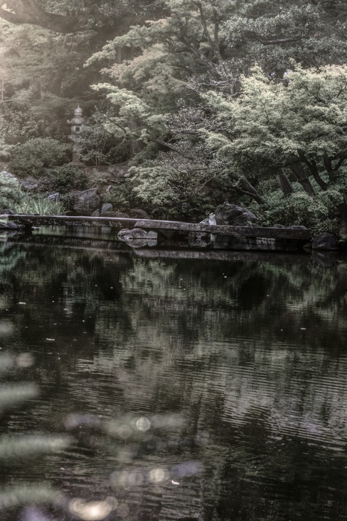 石橋と池