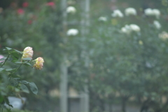 首を下げる二人