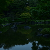 池