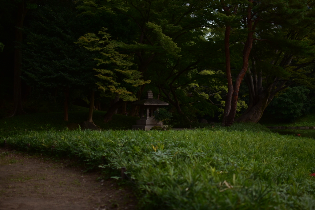 小岩川後楽園8