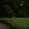 小岩川後楽園8