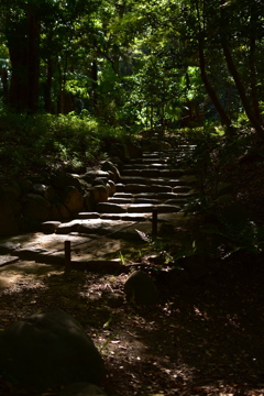 小岩川後楽園8