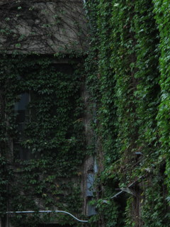 誰かの青春の地
