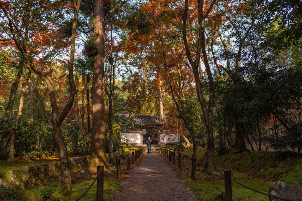 地蔵院　優しい光の中で