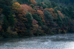 秋に踊る川霧
