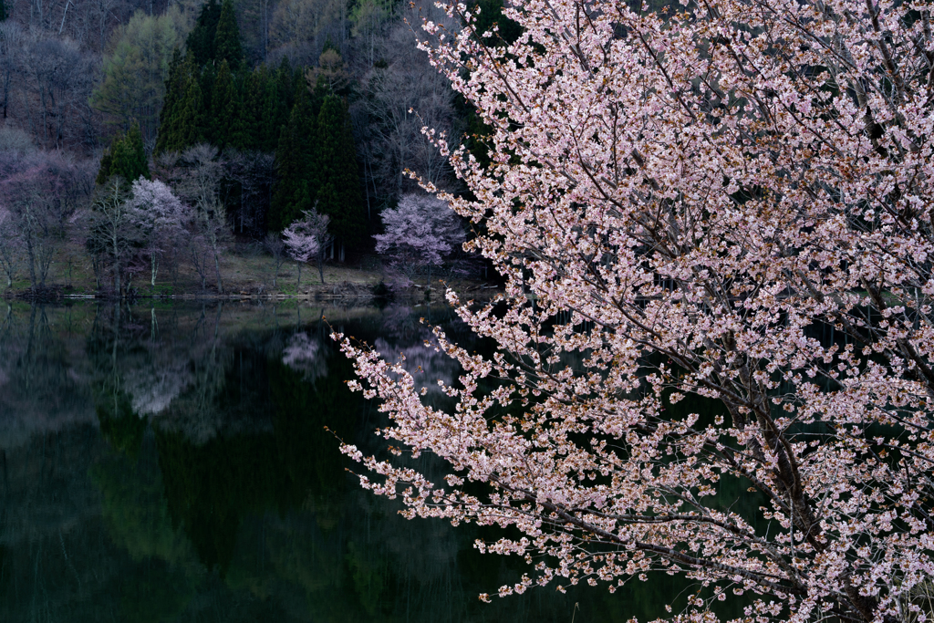 春の変遷
