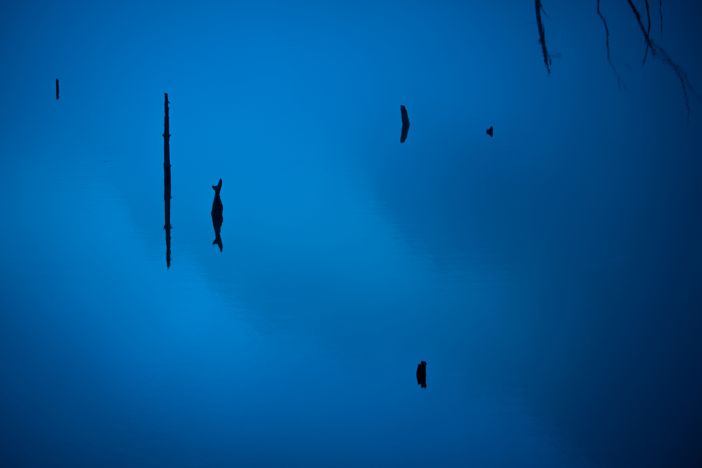 蒼の世界