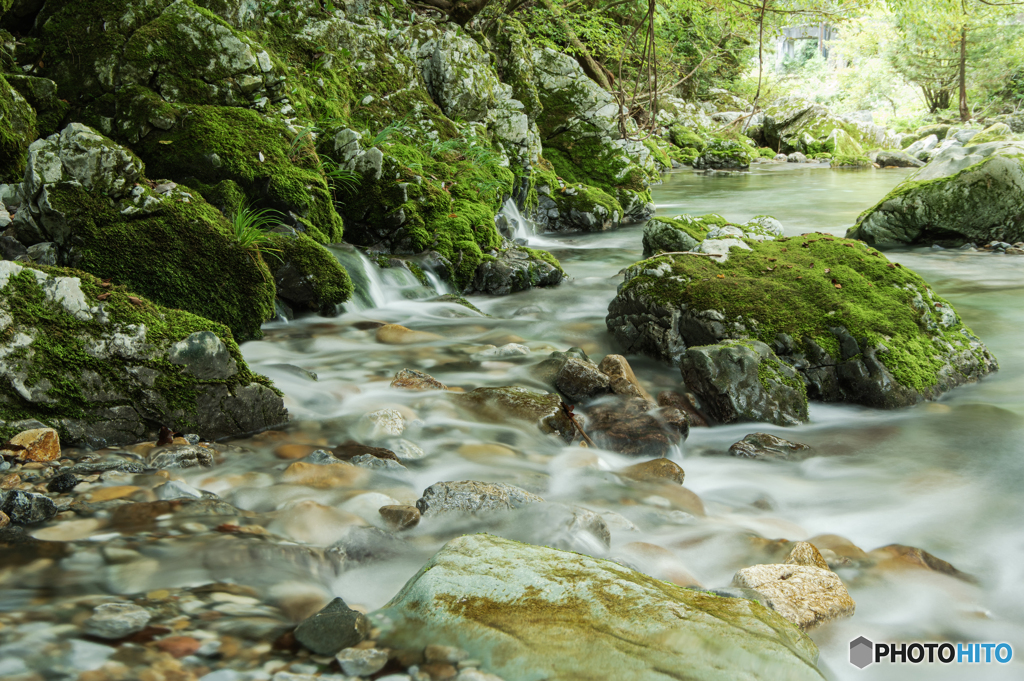 円原川の流水