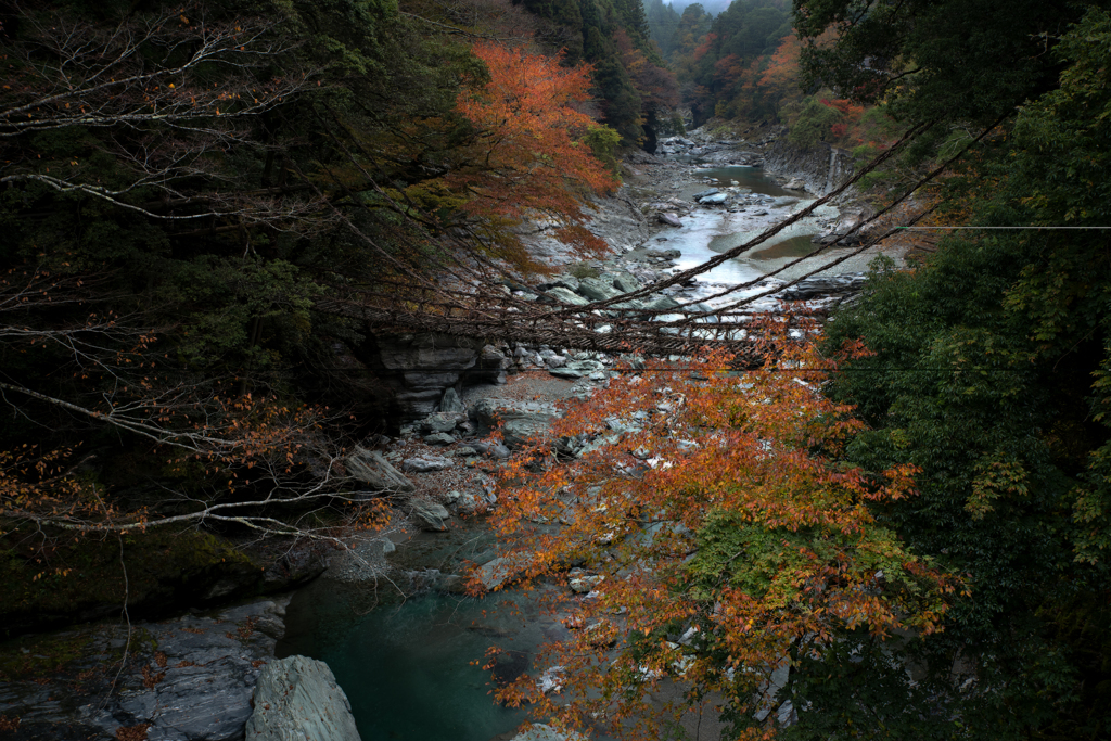 紅葉橋渡し
