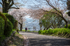 あの丘の向こうには