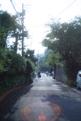 初夏の一枚