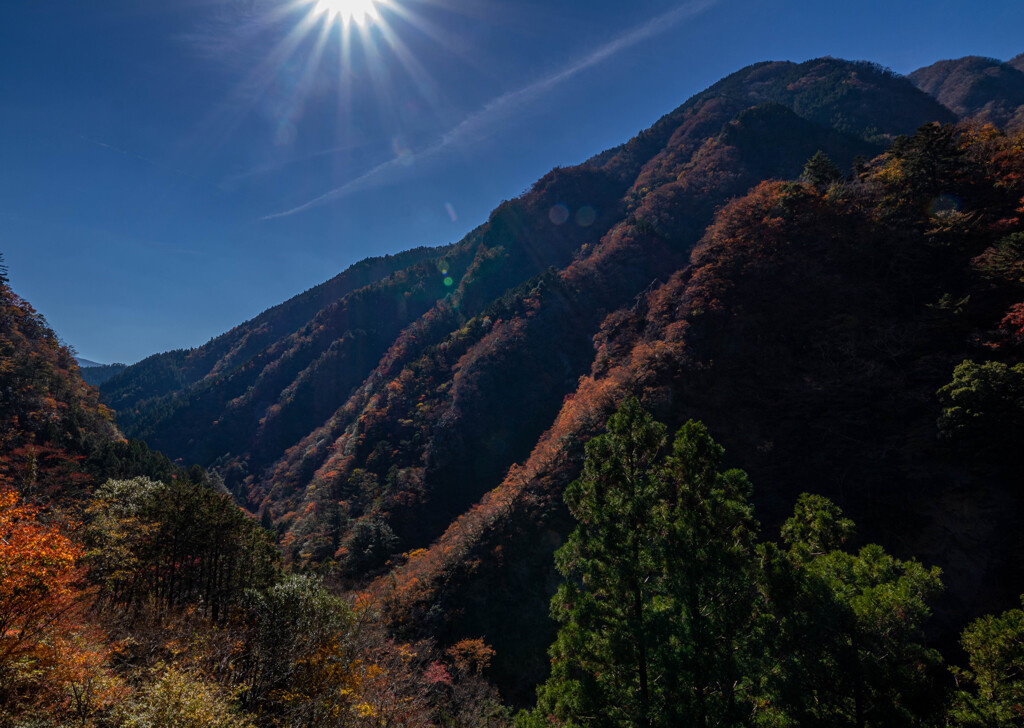 秋の山