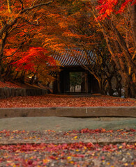 紅蓮の門前