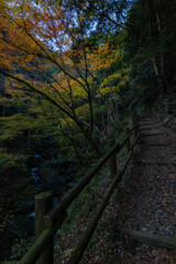 散策へ行こう