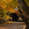 紅葉と門
