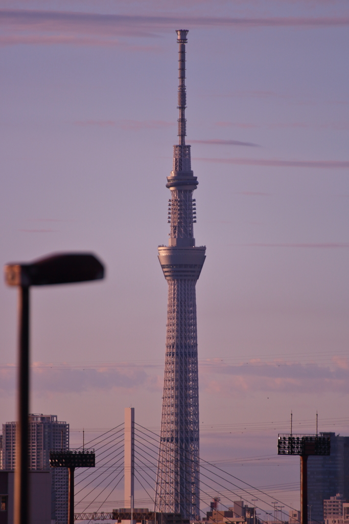 東京スカイツリー