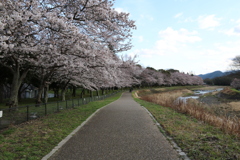 亀岡運動公園