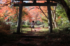 鍬山神社