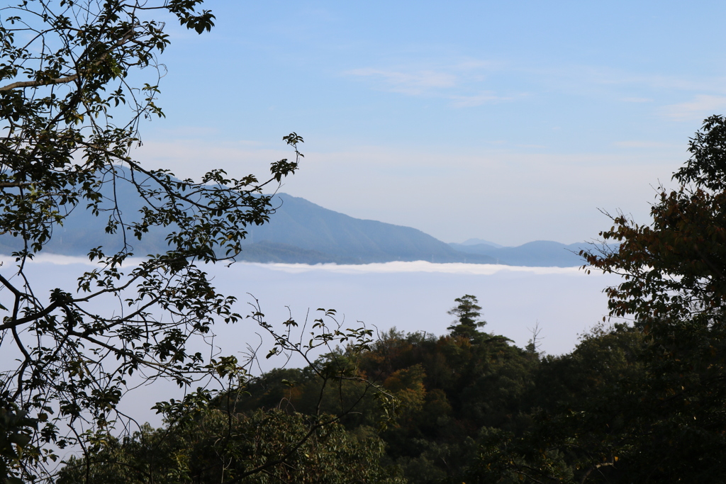 亀岡　霧のテラス