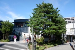 DSCF5366