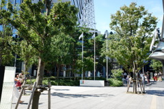 DSCF5357