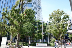 DSCF5355