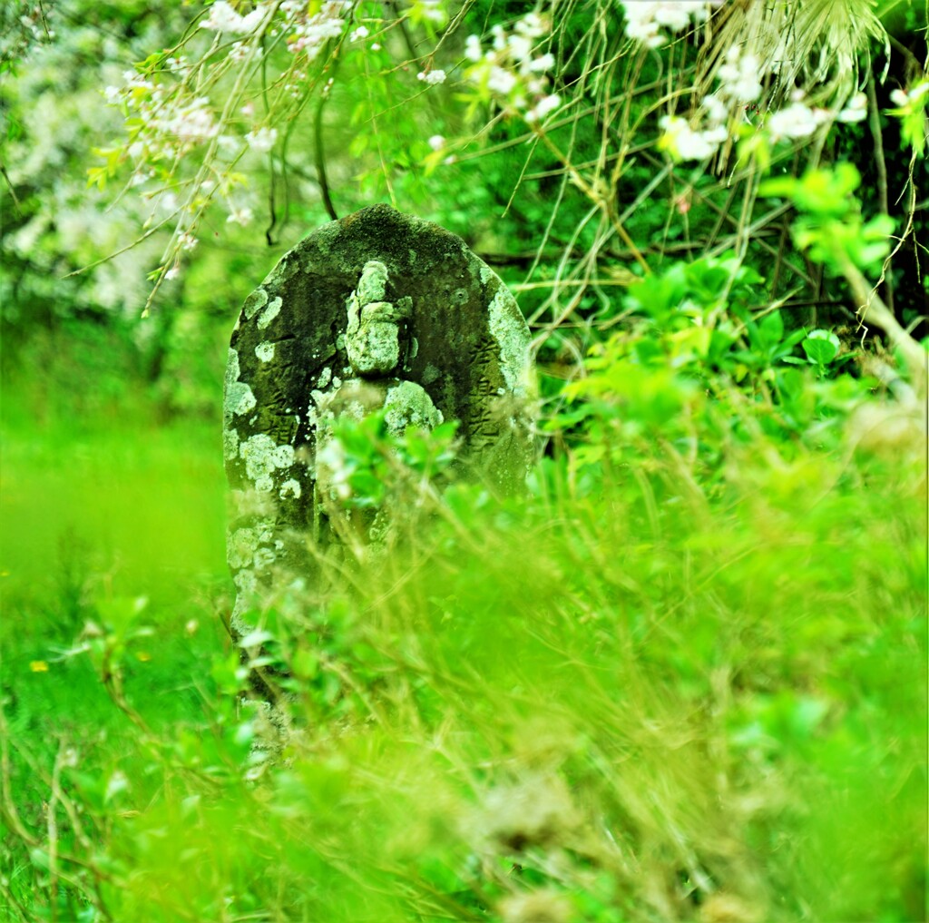 静かに、ただ静かに・・