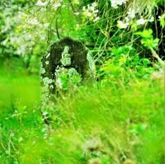 静かに、ただ静かに・・