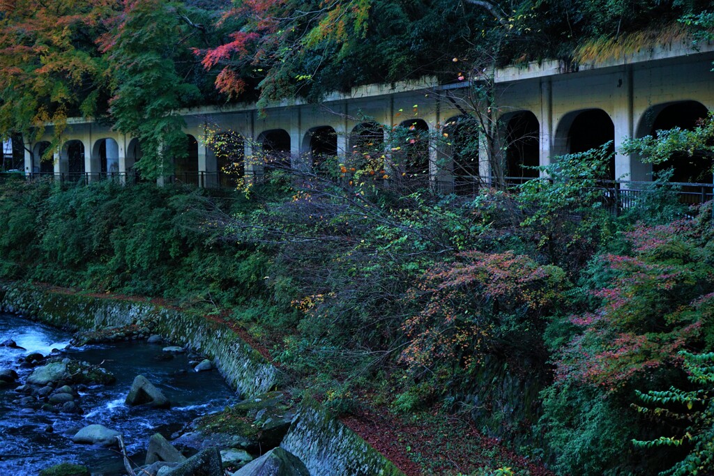 箱根　函嶺洞門