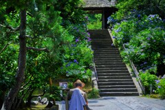 鎌倉　東慶寺Ⅰ　