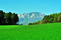 小岩井農場と岩手山