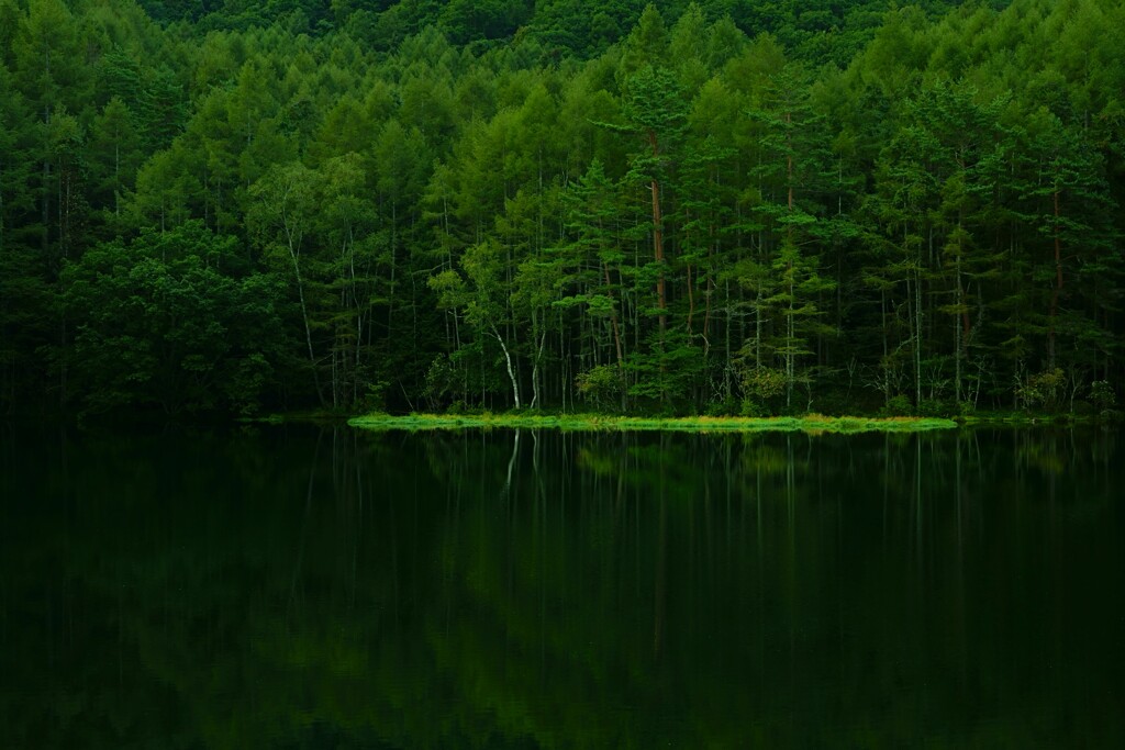 晩夏　御射鹿池　１