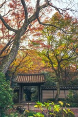 瑞泉寺　山門