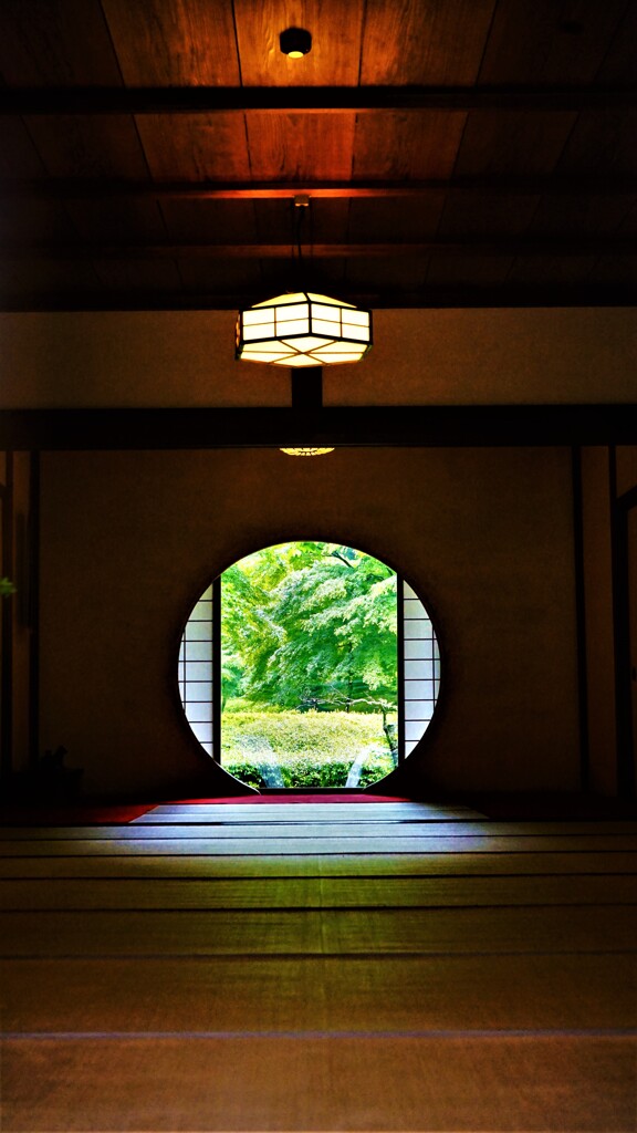 悟りの窓・・新緑