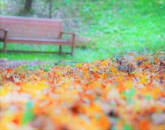 過ぎ去りし日々