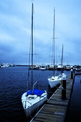 たたずむ・・荒天の日に