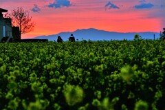 ソレイユの丘の夕暮れ
