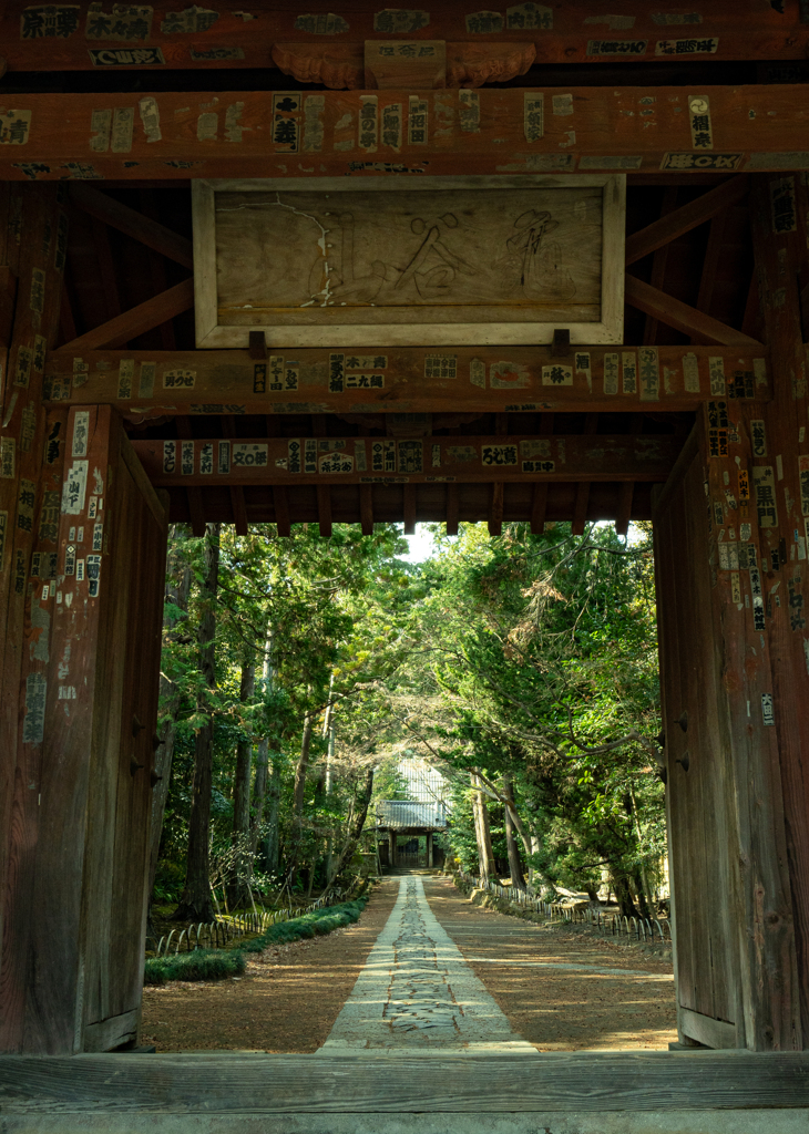 鎌倉　寿福寺　