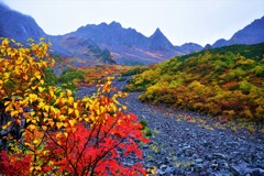 涸沢・紅葉　２