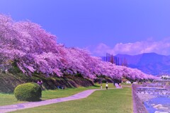 春　爛漫