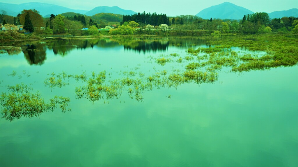 みちのくな風景