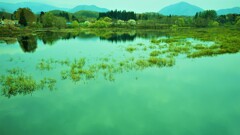 みちのくな風景