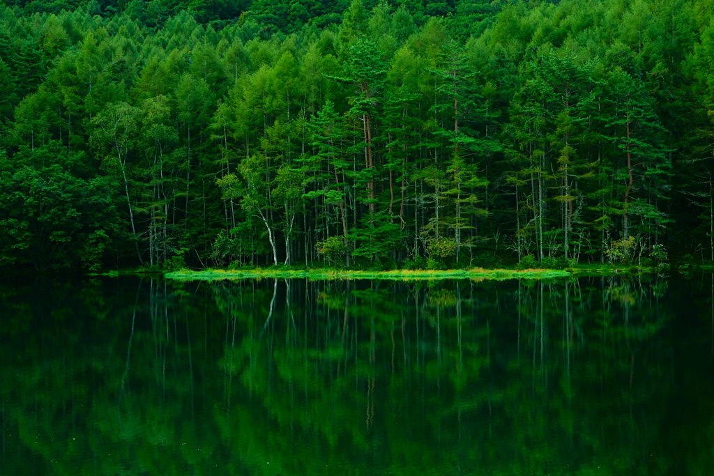 御射鹿池　２　水鏡
