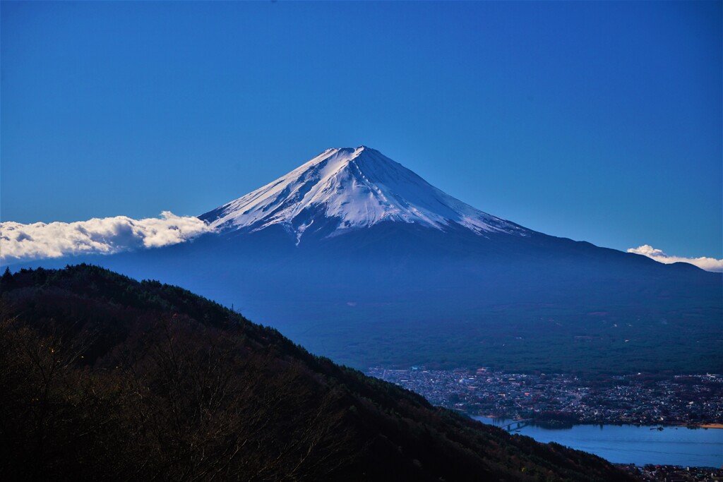 富士には月見草がよく似合う